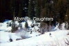 Mothers, Daughters and Lovers (1989)