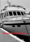 ChromiumBlue.com (2002)