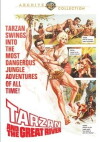 Tarzan am großen Fluß (1967)