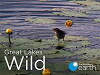 Great Lakes Wild (2014)