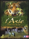 Chroniques de la jungle perdue (2001)