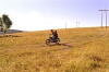 List (2001)