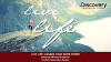 Live Life (2016)