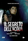 Il segreto dell'acqua (2011)