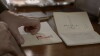 Querido Embaixador (2017)