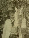 The Further Adventures of Stingaree (1917)