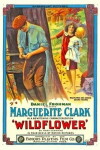Wildflower (1914)