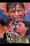 Phool Aur Angaar (1993)