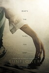 Sunflower (2017)