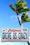 Drive Us Crazy (2014)