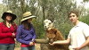 Playschool: CSU (2013)