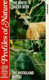 Profiles of Nature (1986)