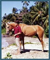 Cristobalito, the Calypso Colt (1970)