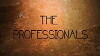 The Professionals Concept Pilot (2014)