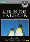 Life in the Freezer (1993)