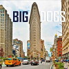 Big Dogs (2018)