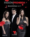Pasión Prohibida (2013)