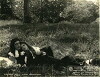 Mistress Nell (1915)