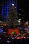 Christmas in Rockefeller Center (2012)