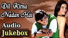 Dil Kitna Nadan Hai (1997)
