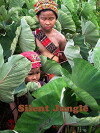 Silent Jungle (2012)