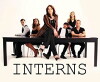 Interns: The Web Series (2012)