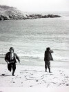 Lebed (1976)