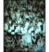 If a Leaf Never Falls (1976)