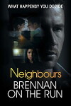 Brennan on the Run (2014)