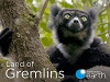 Land of Gremlins (2015)