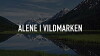 Alene I Vildmarken (2017)