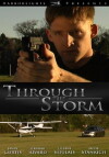 Through the Storm (2013)