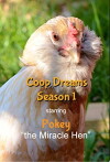 Coop Dreams (2015)