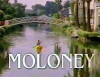 Moloney (1996)