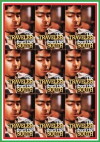 Traveler from the South (1996)