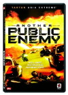 Another Public Enemy (2005)