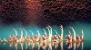 Cirque du Soleil: O (2017)