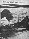 The Savage (1926)