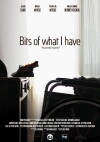 Bits of What I Have (2015)