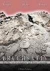 Bruchstein (2008)