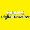 Digital Downlow (2016)