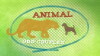 Animal Odd Couples (2013)