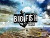 Big Fish Texas (2016)