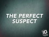 The Perfect Suspect (2017)
