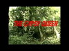 The Gypsy Queen (2010)