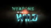 Weapons of the Wild (2012)