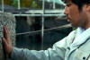 Three Stories of Love (2015)