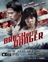 Brush with Danger (2015)