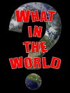 What in the World? (2016)