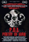 Edgar Allan Poe - Geschichten des Wahnsinns (2011)